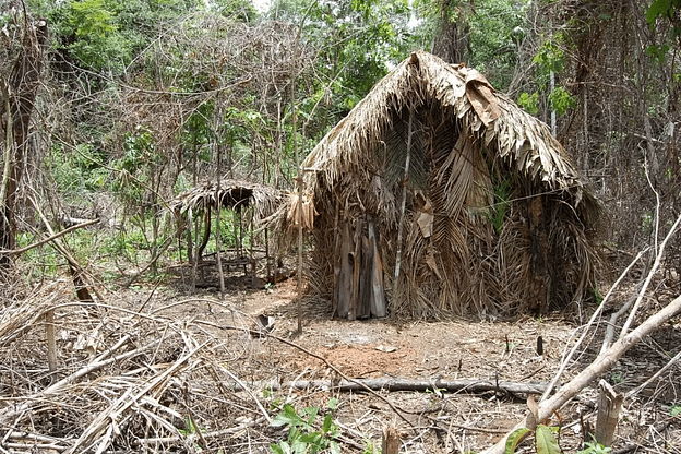 In a wooded area, there is a hut made of hay and other natural materials.