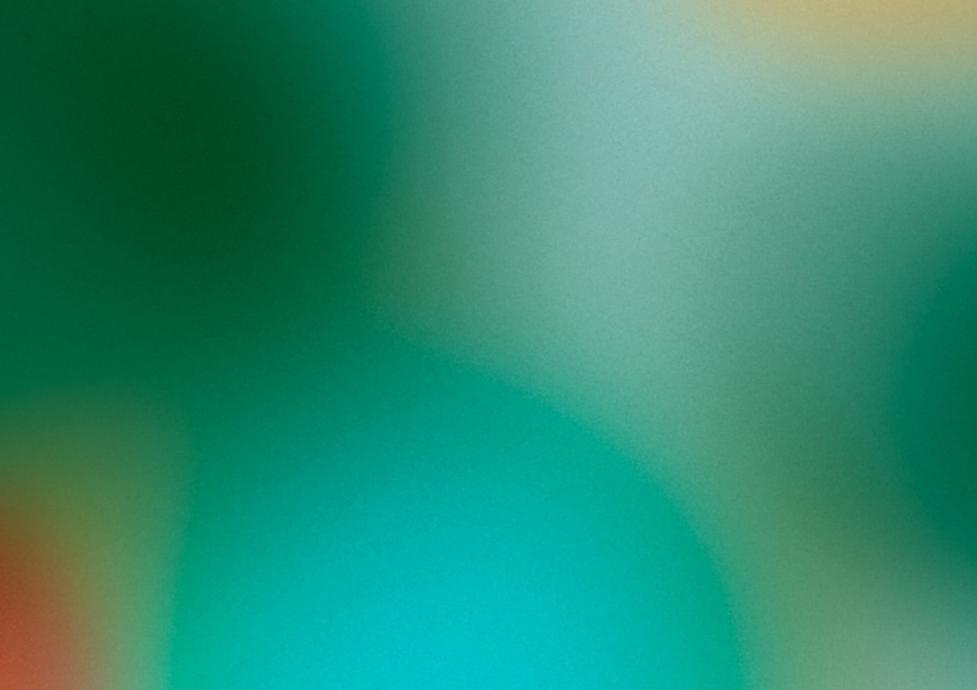 THE LENS REFLECTED What Stories & Storytellers Get the Green Light in