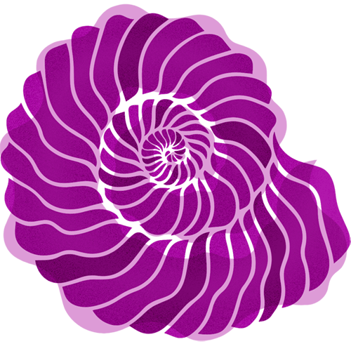 Graphic of a shell